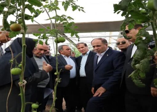 تاکید وزیر جهادکشاورزی بر توسعه کشت گلخانه‌ای