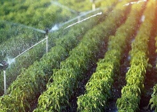 اجرای برنامه تجهیز سامانه‌های نوین آبیاری در برنامه هفتم نیازمند ۵۰ همت اعتبار است