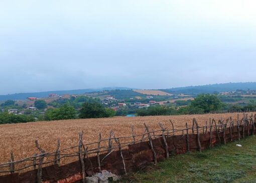 مازندران کماکان بدون بارش