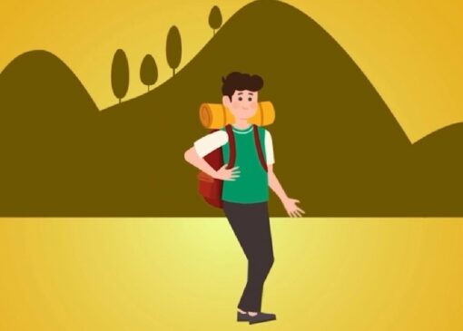 نکات کلیدی برای دوری از حشرات در هنگام طبیعت گردی + فیلم