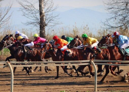 برترین‌های هفته نخست کورس پاییزه گنبدکاووس معرفی شدند