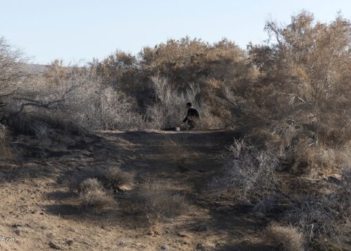 تغییر اقلیم یک مساله فانتزی نیست/ عدم حضور در اجلاس تغییر اقلیم خودتحریمی است