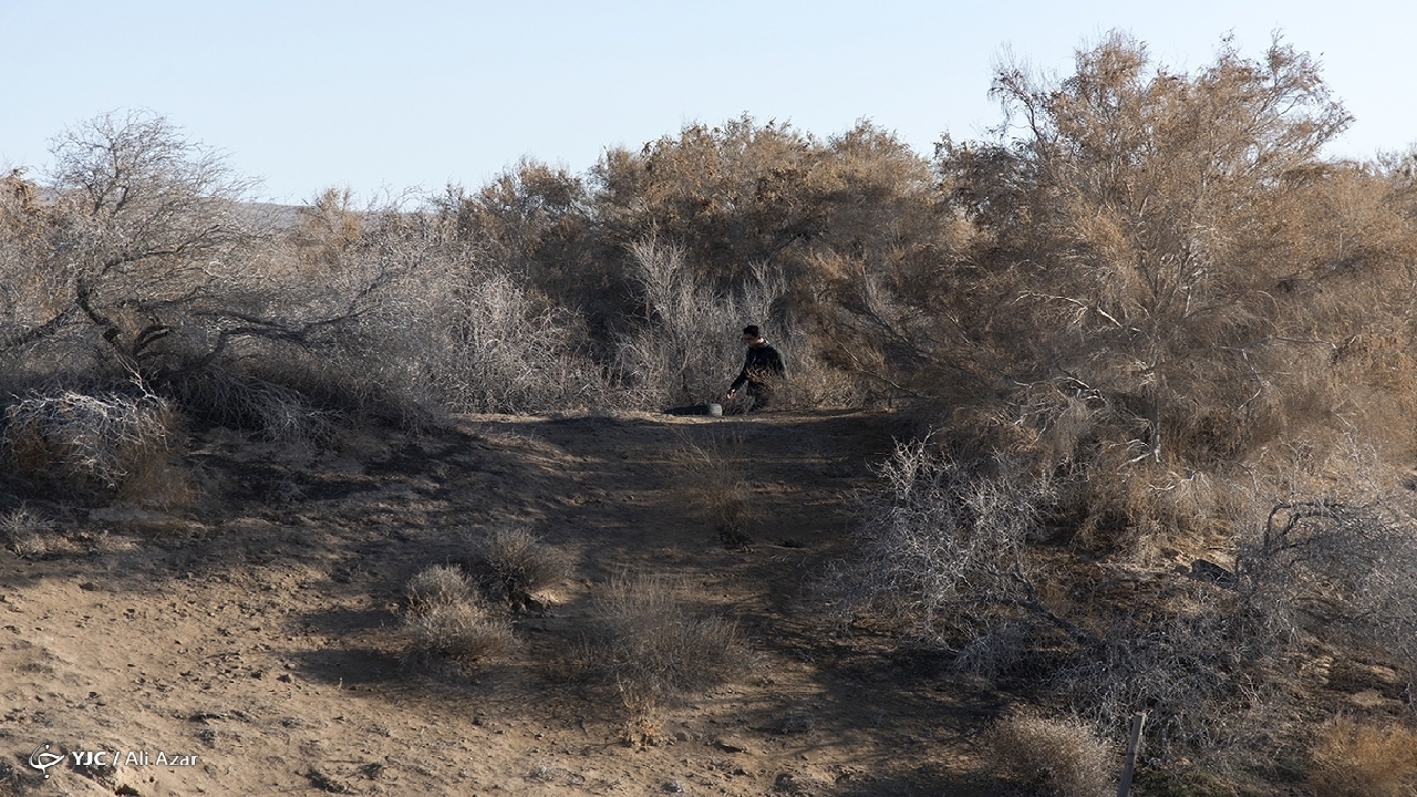 تغییر اقلیم یک مساله فانتزی نیست/ عدم حضور در اجلاس تغییر اقلیم خودتحریمی است