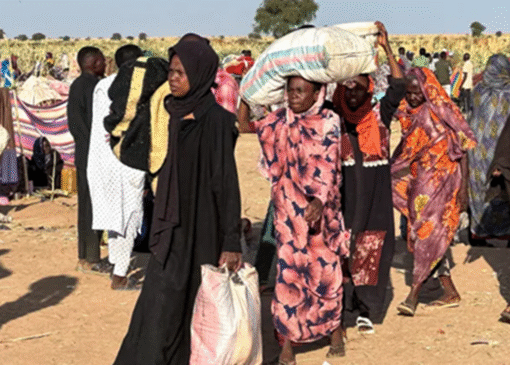 پیشروی ارتش سودان و بازپس‌گیری دو منطقه در مرکز این کشور