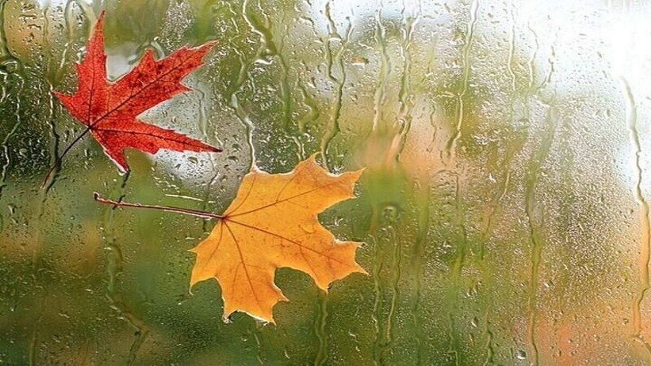 قم بارانی می‌شود