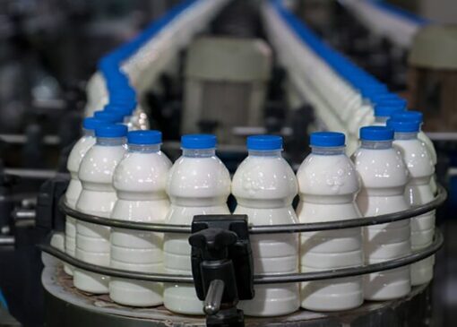 تعهد ارزی سنوات گذشته شرکت بازرگانی صنایع شیر ایران رفع شد