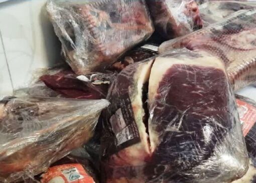 کشف ۱۵۰۰ کیلوگرم گوشت اسب در یک کارگاه قطعه‌بندی در اهواز