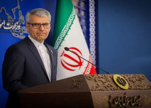 بقائی: تظلّم‌خواهی از عاملان حمله شیمیایی به ایرانیان، مطالبه‌ای ملی، زنده و ادامه‌دار است