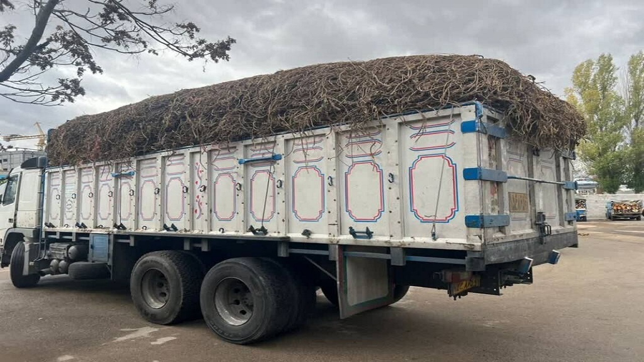 توقیف یک دستگاه کامیون حامل ۷ تن شیرین‌بیان قاچاق در اردبیل