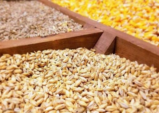 اثر واگذاری توزیع نهاده‌های دامی به پشتیبانی امور دام چیست؟