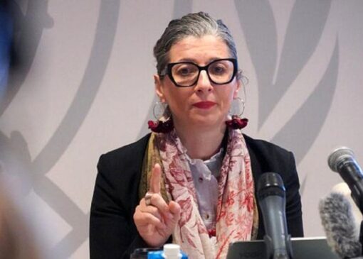 سازمان ملل: انتقال فلسطینی‌ها به آفریقای جنوبی در جهت «اهداف نسل‌کشی» اسرائیل است