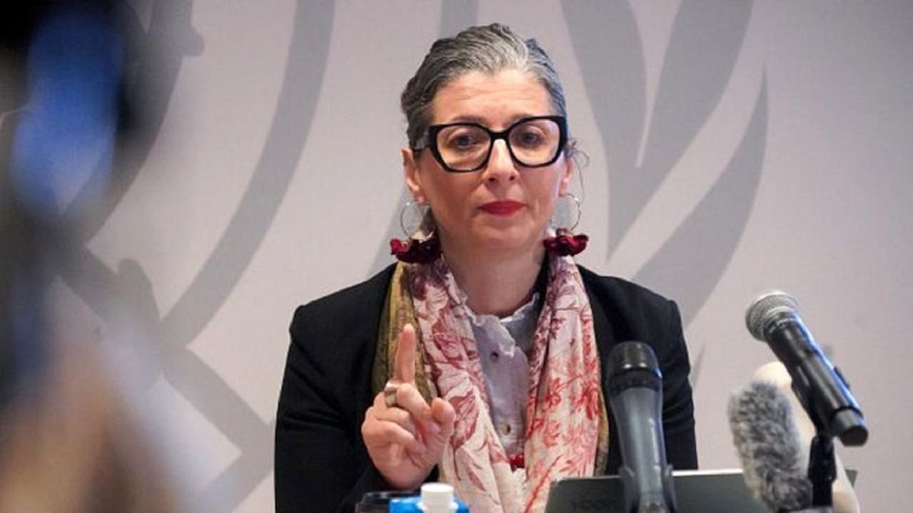 سازمان ملل: انتقال فلسطینی‌ها به آفریقای جنوبی در جهت «اهداف نسل‌کشی» اسرائیل است