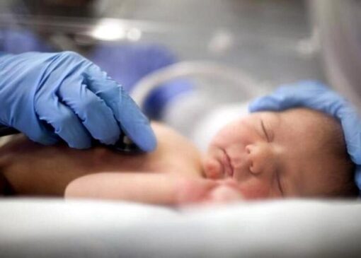 تولد نوزاد عجول در بالگرد هلال احمر + فیلم