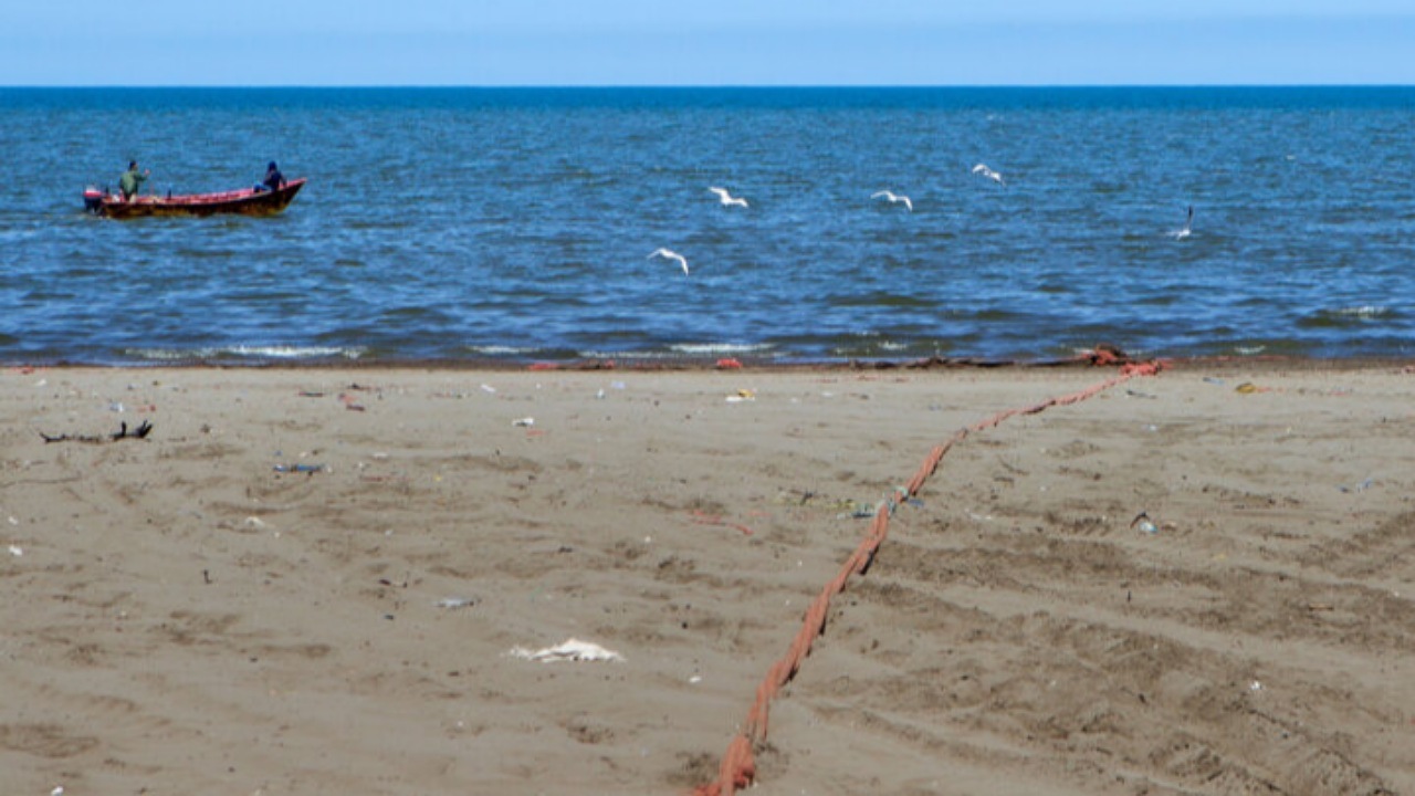 تراز آب خزر از ۵ سال پیش تاکنون یک متر کمتر شده است + فیلم