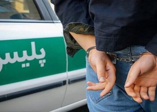 مالخر به همراه اموال مسروقه دستگیر شد