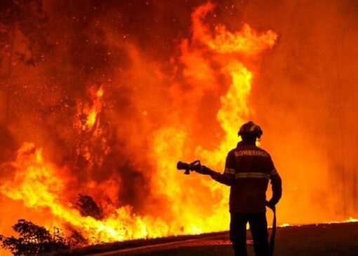 آتش‌سوزی در نشست آب و هوایی سازمان ملل + فیلم