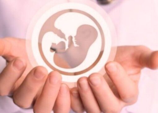 نجات از سقط ۷۲ نوزاد قمی