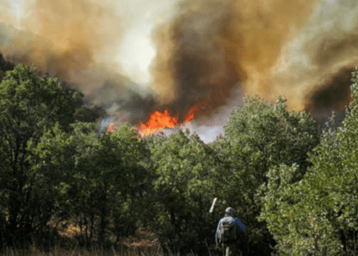 شعله‌های بی‌پایان حریق در جنگل‌های هیرکانی