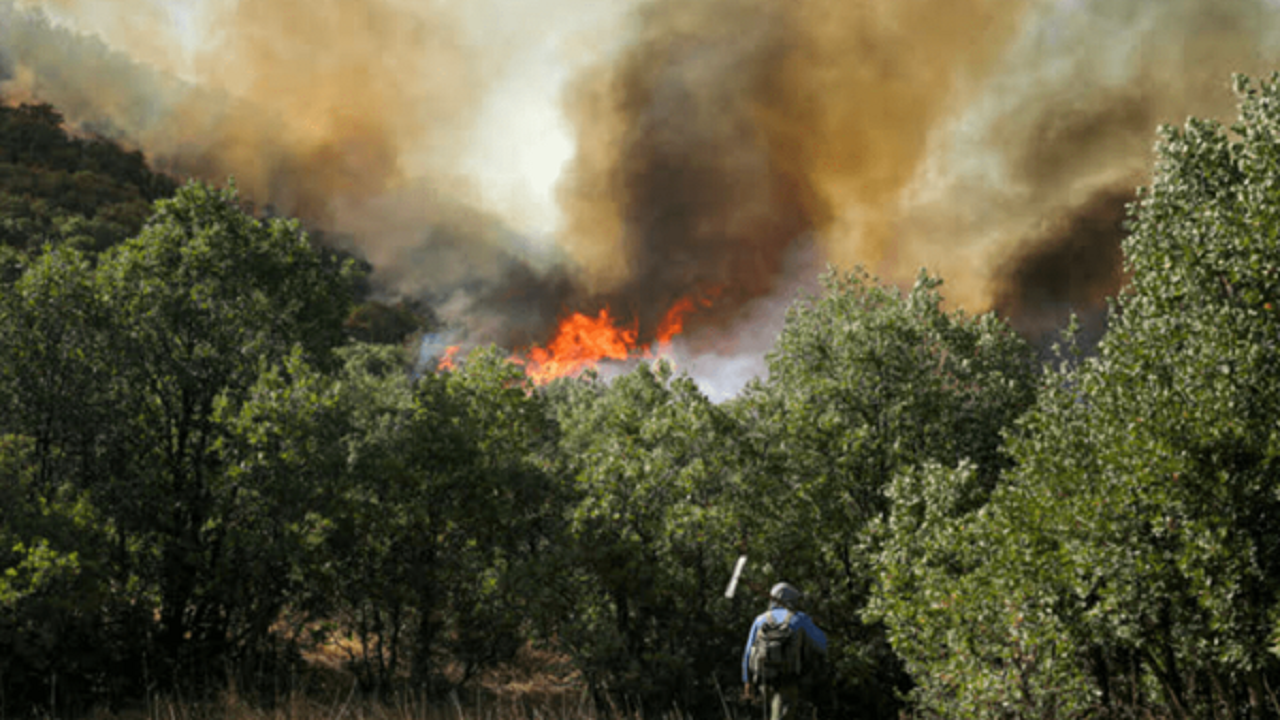 شعله‌های بی‌پایان حریق در جنگل‌های هیرکانی