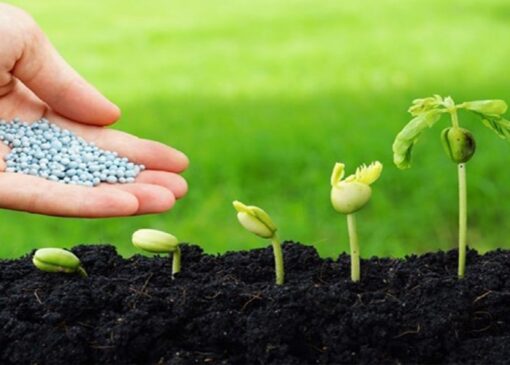 توزیع نهاده‌های کشاورزی در شهرستان باغملک همزمان با کشت پاییزه