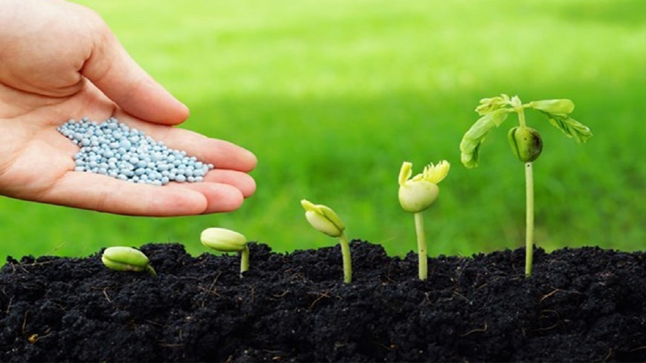 توزیع نهاده‌های کشاورزی در شهرستان باغملک همزمان با کشت پاییزه