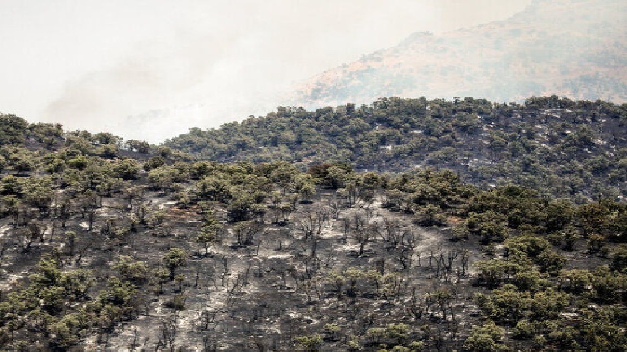 کاهش دود در آسمان الیت محسوس است/ مهار آتش‌ با قدرت ادامه دارد