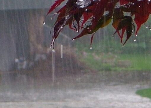 کاهش ۲۷ درصدی بارش‌ها در استان اردبیل