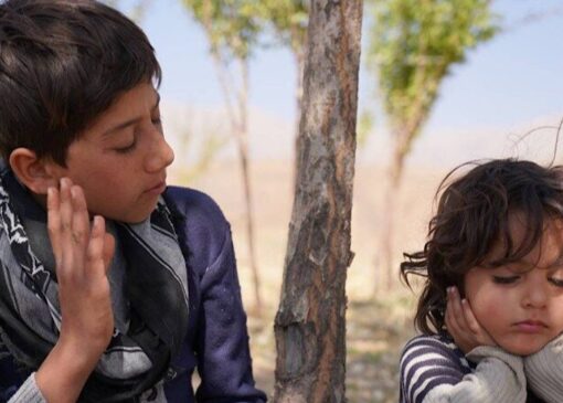 «موی گرگ» پروانه نمایش گرفت/ موافقت با اکران یک فیلم دیگر