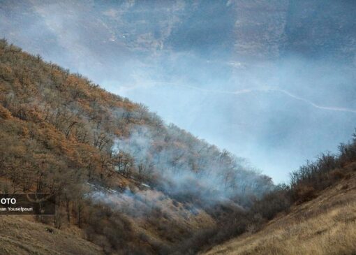 آتش سوزی جنگل‌های هیرکانی الیت