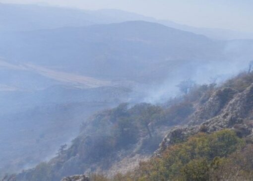 کردکوی در روزی پرحادثه؛ دو حریق جنگلی مهار شد