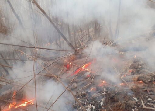 حریق در مناطق جنگلی گلستان/ یگان حفاظت: آتش تحت کنترل است