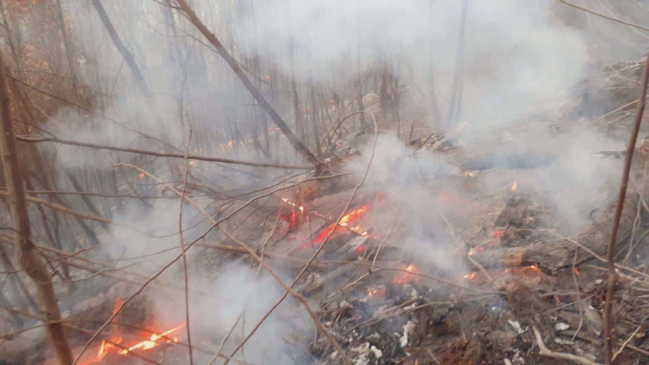 حریق در مناطق جنگلی گلستان/ یگان حفاظت: آتش تحت کنترل است