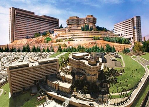 دانشگاه شیراز در شمار ۵۰۰ دانشگاه برتر جهان در رتبه‌بندی موضوعی شانگهای ۲۰۲۵