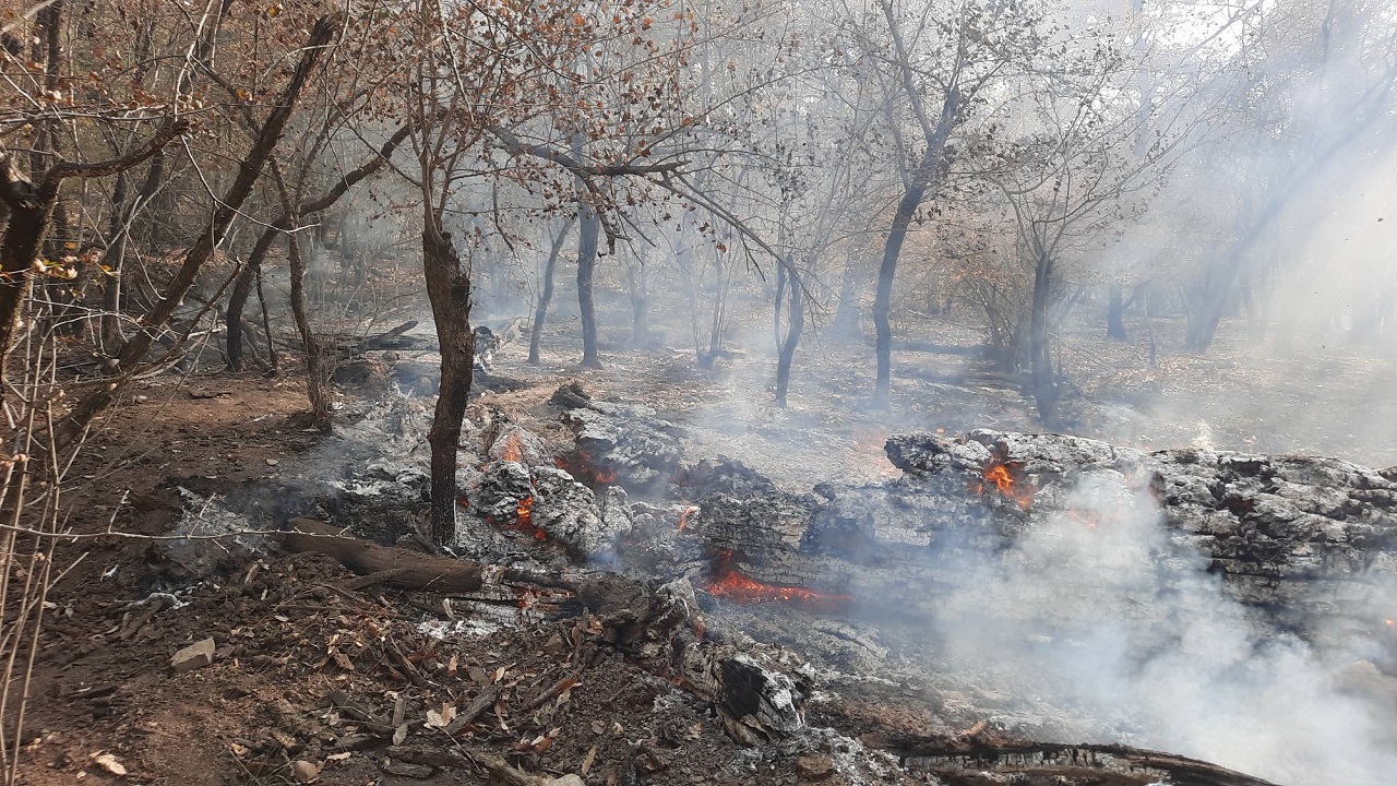 آخرین وضعیت حریق در جنگل‌های شرق گلستان/درخواست استقرار بالگرد اطفای حریق