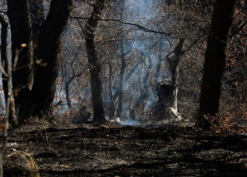 لکه‌گیری نهایی آتش‌سوزی‌ جنگل‌های مازندران در حال انجام است