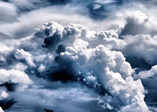 پارازیت‌ها باران را عقیم می‌کنند؟