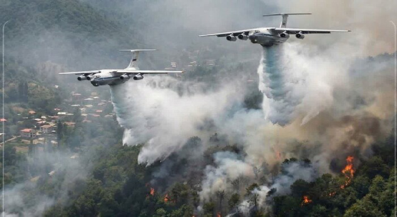 بیش از ۹۰ درصد دود جنگل‌های الیت از بین رفت/ عامل انسانی در وقوع آتش سوزی جنگل قطعی است