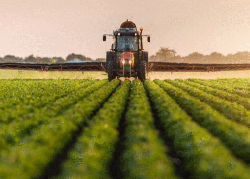 سیاست‌های وزارت نیرو در تخصیص آب در تناقض با خودکفایی محصولات اساسی است