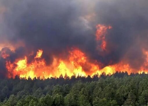 یک جرقه، یک فاجعه/ هشدار درباره افزایش آتش‌سوزی در جنگل‌ها و مراتع