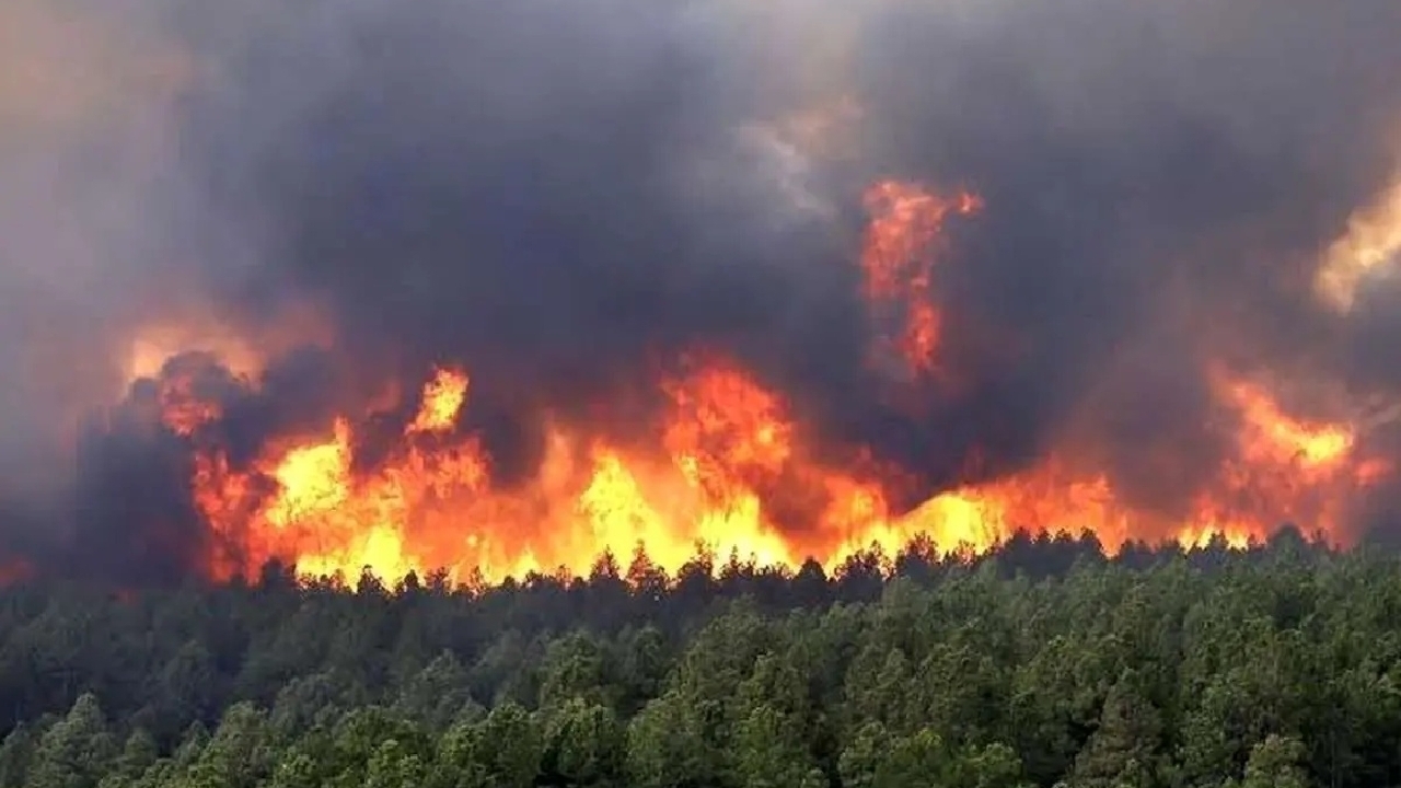 یک جرقه، یک فاجعه/ هشدار درباره افزایش آتش‌سوزی در جنگل‌ها و مراتع