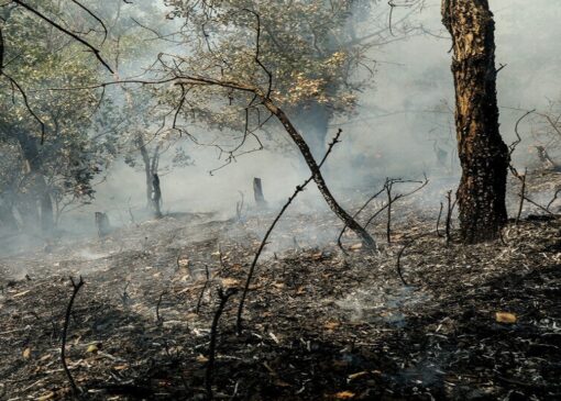 پایان آتش سوزی در گلستان؛ گروه های پایش همچنان حاضر در منطقه