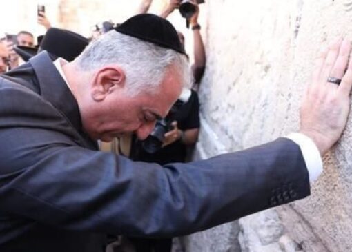 توصیه‌های مردمی به کندی ذهن رضا پهلوی + فیلم