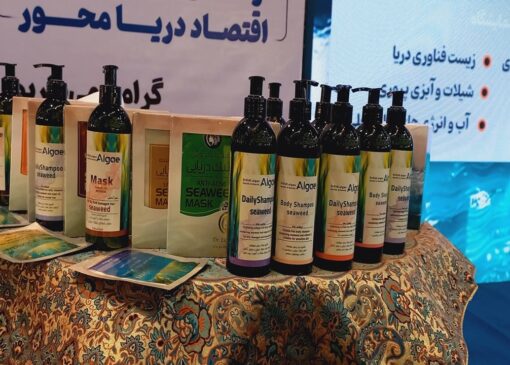 صنعت نانو‌بیوتک دریایی در ایران متولد شد؛ تولید ۲۱ محصول دانش‌بنیان از جلبک‌های خلیج فارس