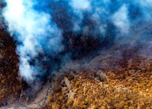 اعزام گسترده نیروی امدادی برای مهار آتش‌سوزی جنگل‌های دیزمار