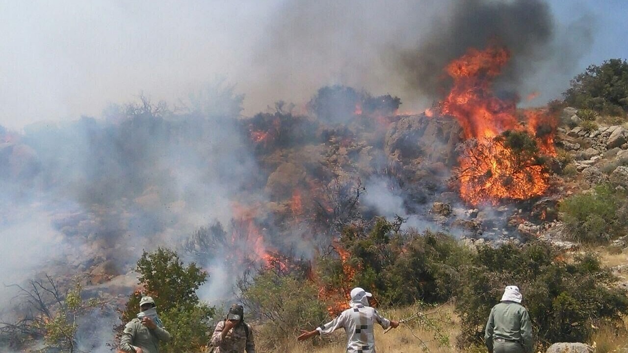 شکارچیان غیرمجاز الیت را آتش زدند! + فیلم