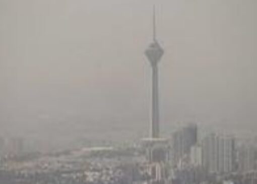 شیر، آلودگی را دفع نمی‌کند + فیلم