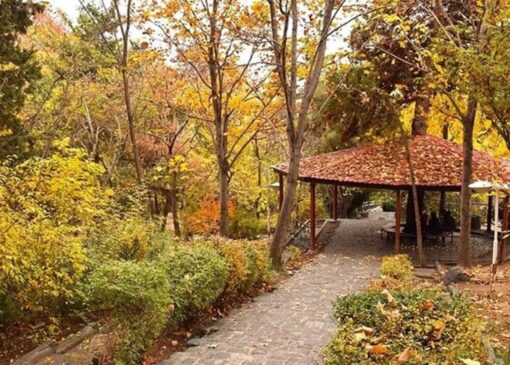 تماشای پاییز در پارک‌های تهران؛ از لویزان تا پردیسان