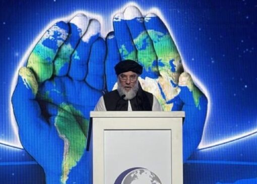 حضور سرپرست وزارت صنعت طالبان در نمایشگاه حلال استانبول؛ تأکید بر توسعه تجارت منطقه‌ای