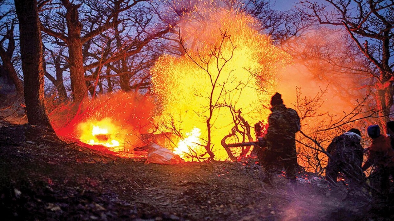 آتش‌سوزی اخیر حدود ۱۰ هکتار از اراضی جنگلی الیت چالوس را نابود کرد