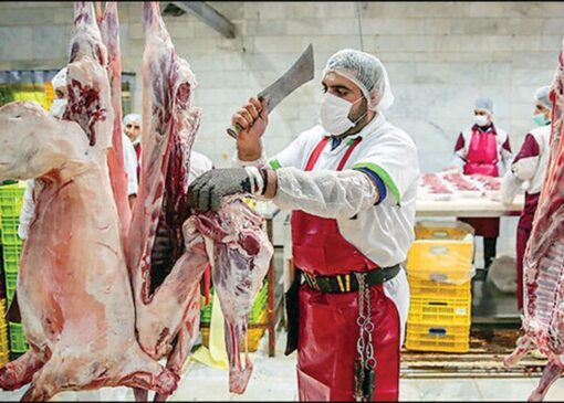 /قیمت هرکیلو لاشه گوسفندی به ۷۰۰ هزارتومان تومان رسید